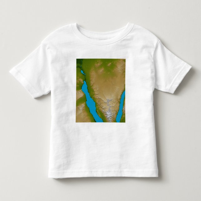 SinaiPeninsulan Tee (Framsida)