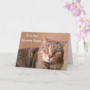 Sincere Cat kommer bra Kort