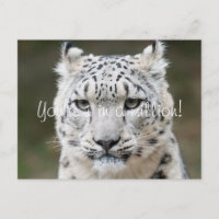 Sincere Snö Leopard Tack