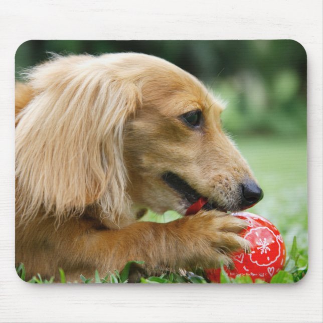 Singapore 10 musmatta (Framsidan)