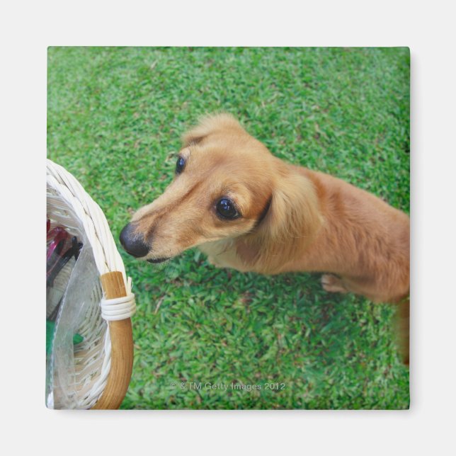 Singapore 2 magnet (Framsidan)