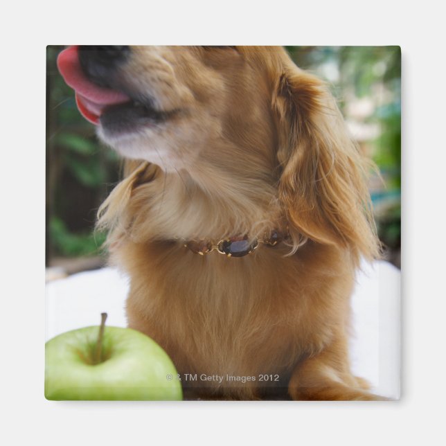 Singapore 5 magnet (Framsidan)