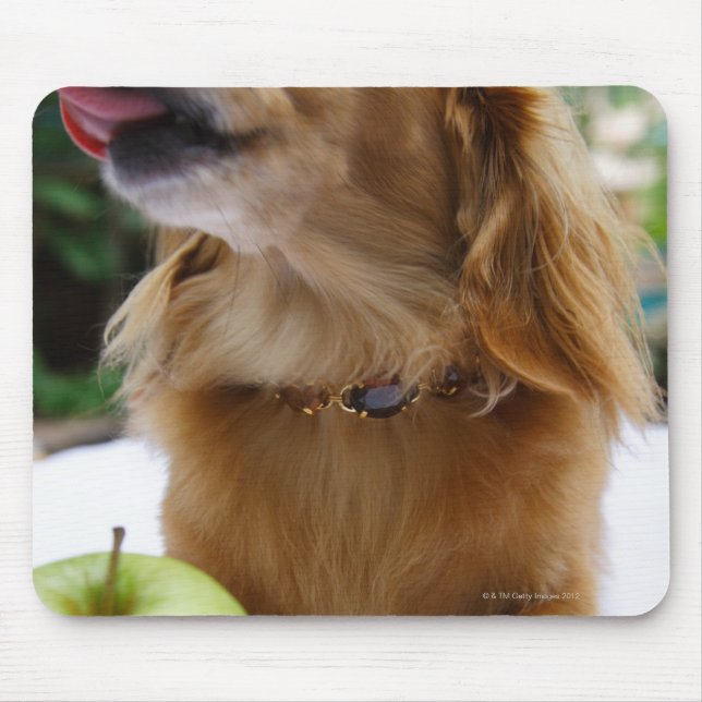 Singapore 5 musmatta (Framsidan)