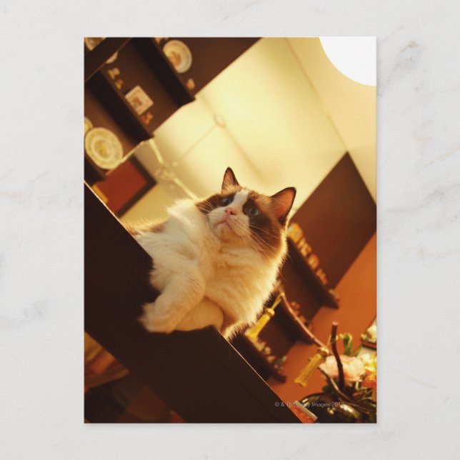 Singapore 6 vykort (Framsida)