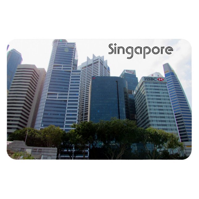 singapore city magnet (Horisontell)