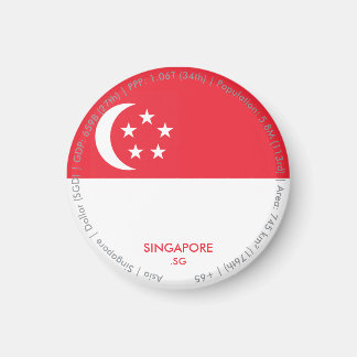Singapore Flagga Magnet