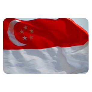 singapore flagga magnet