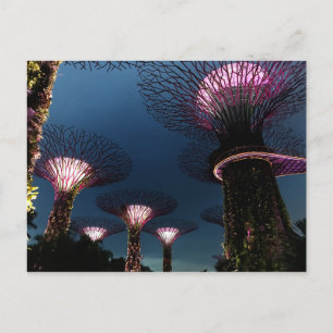Singapore Gardens efter vykort nr 1 i Bay #1
