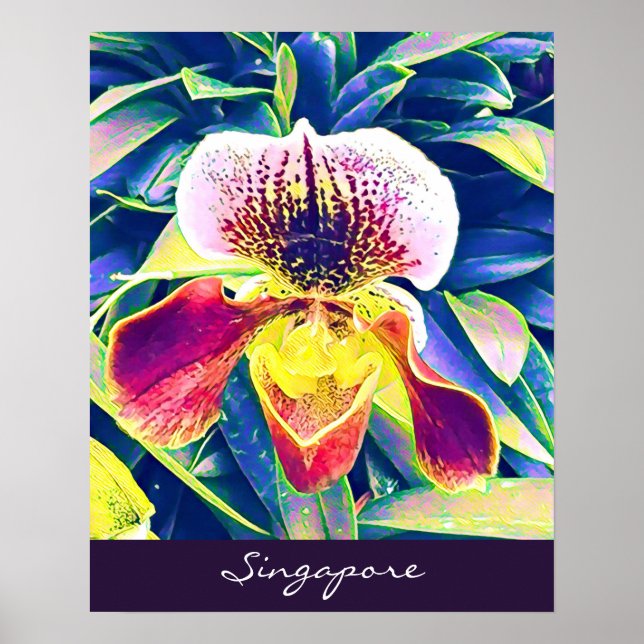 Singapore Orchid-resa södra Öster Asien Poster (Framsidan)