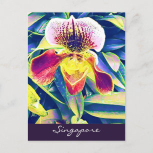 Singapore Orchid-resa södra Öster Asien Vykort