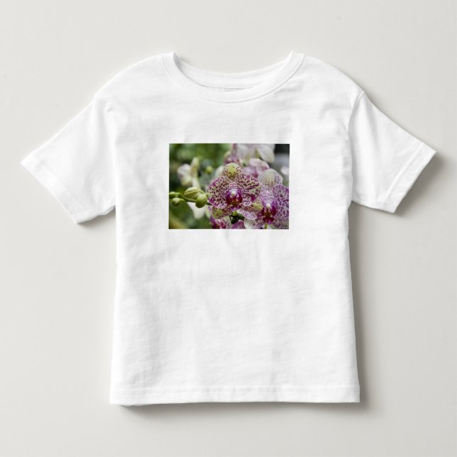 Singapore (Sanskrit för Lejonstaden). National T-shirt (Framsida)