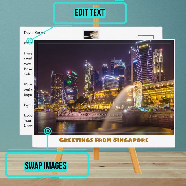 Singapore Skyline på natten med Merlion Vykort (Please enjoy our postcard and see the others in the collection.)