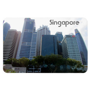 singapore stad magnet