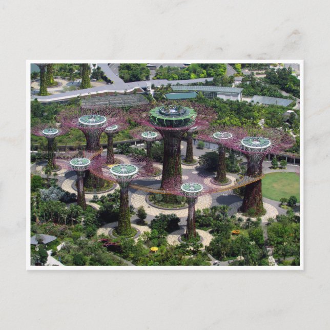 singapore supertree vykort (Framsida)