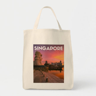 Singapore Tygkasse