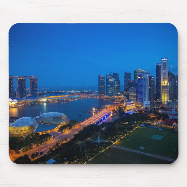 Singaporeboratet i natt musmatta (Framsidan)