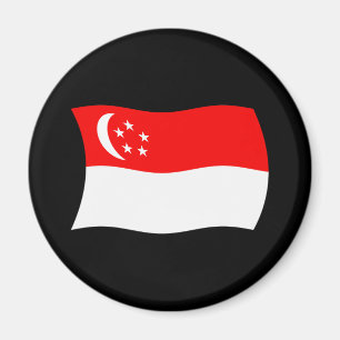 Singapores flaggmagnet magnet