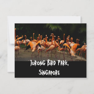 Singapores resevykort vykort