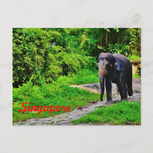 Singapores vykort (Framsida)