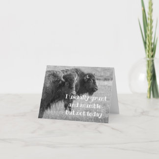 SINGBUFFALO ***GRATTIS PÅ FÖDELSEDAGEN** KORT