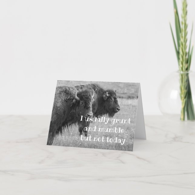 SINGBUFFALO ***GRATTIS PÅ FÖDELSEDAGEN** KORT (Framsida)