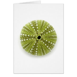 Singelhavsgatubarn Hälsningskort