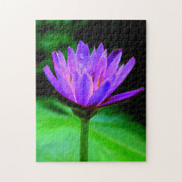 Singelnäckros Pussel