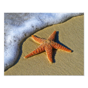 Singelsjöstjärna på strand fototryck
