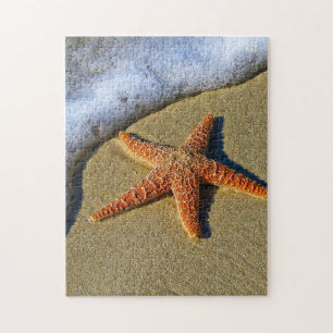 Singelsjöstjärna på strand pussel