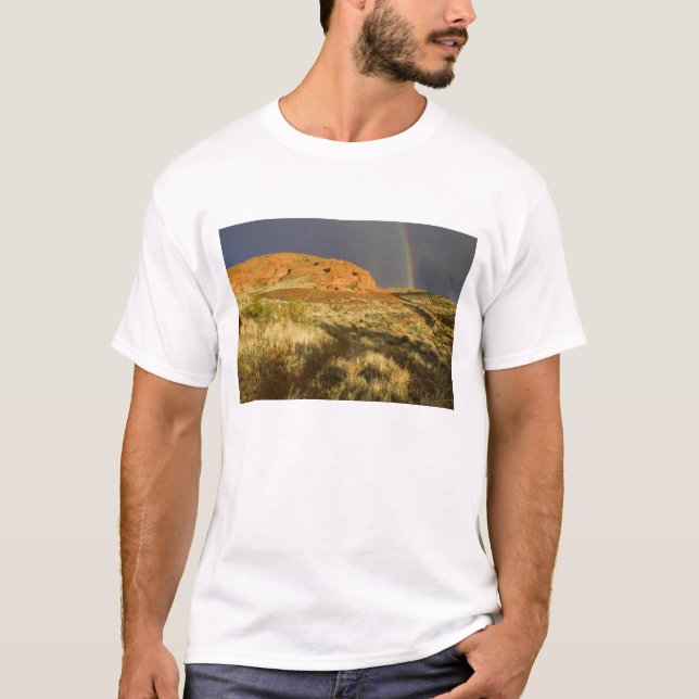 Singelspår vid Red Cliffs Desert Preserve nära Tee (Framsida)