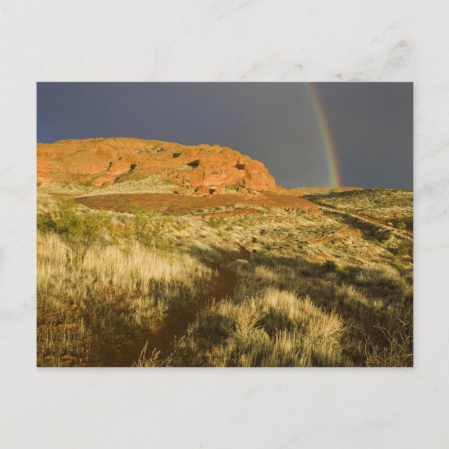 Singelspår vid Red Cliffs Desert Preserve nära Vykort (Framsida)