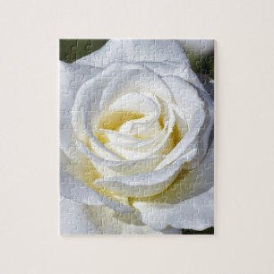 Singelvit rosblommar pussel