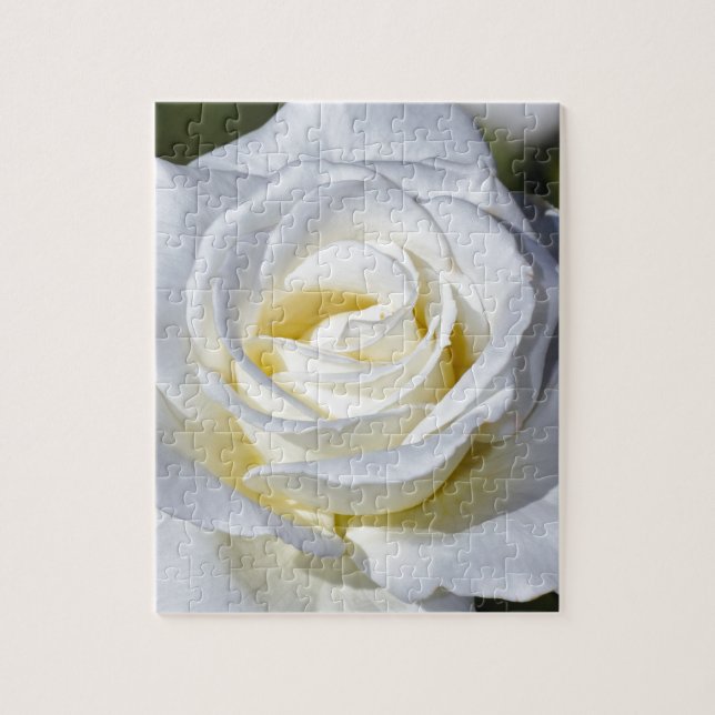 Singelvit rosblommar pussel (Vertikal)