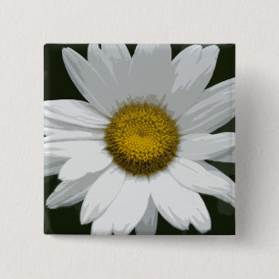 Singelvitdaisy Knapp