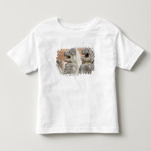 Singhat Wat Thammikarat 2 T-shirt