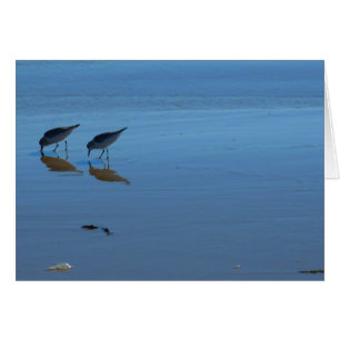 Singing Beach Sandpipers OBS Kort