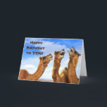 SINGING CAMELS SAY LYCKLIG **40th** BIRTHDAY Card Kort<br><div class="desc">DEN HÄR CAMELSGRUPPEN ÄR SÄKER PÅ SJUNGA FÖR DEN VÄNNES- ELLER FAMILJEMEDLEMS "40:E BIRTHDAY" OCH GLÖMMER INTE **ÄNDRA ÅLDERN** ELLER **VERSE** OM DU VILL! TACK FÖR ATT JAG STOPPADE MED 1 AV 9 LAGER!</div>