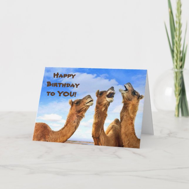 SINGING CAMELS SAY LYCKLIG **40th** BIRTHDAY Card Kort (Framsida)