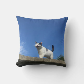 Singing Cat Cushion 歌 う 猫 ク ッ シ ョ Kudde