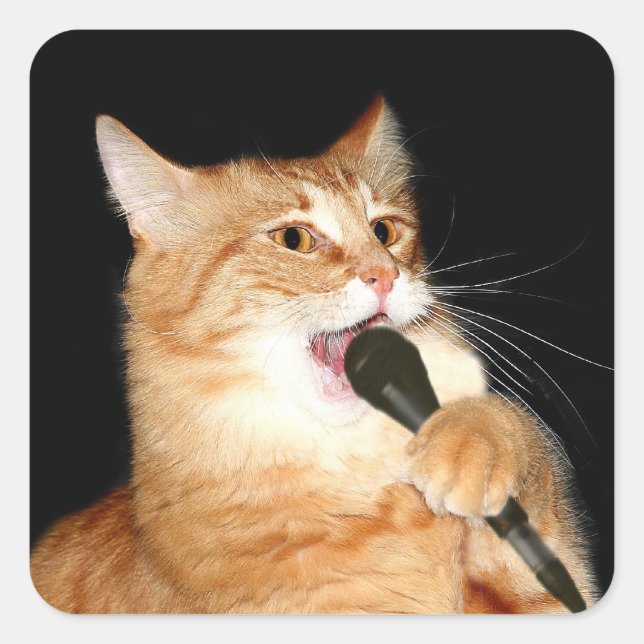 Singing cat fyrkantigt klistermärke (Framsida)