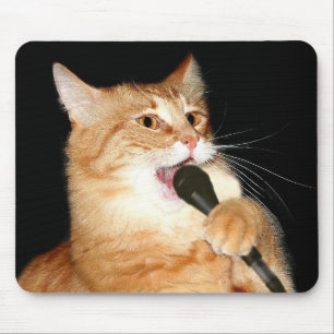 Singing cat musmatta