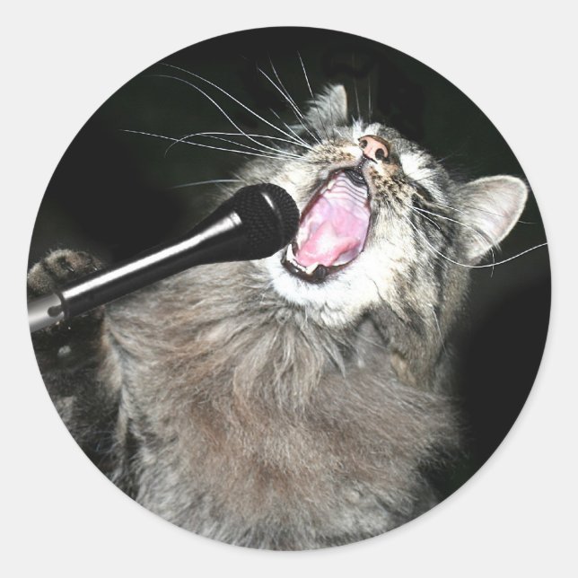 Singing cat runt klistermärke (Framsida)