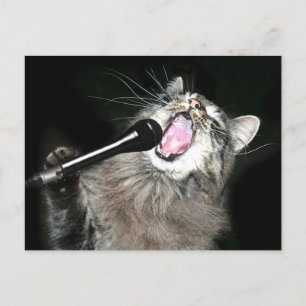 Singing cat vykort