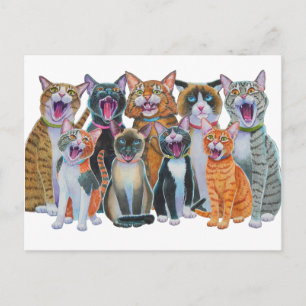 Singing Cats Vykort