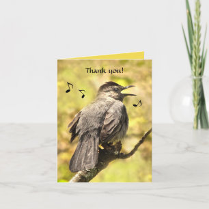 Singing Grått Catbird - tackkort