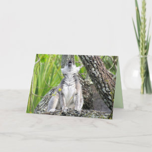 Singing Lemur Greeting Card Kort