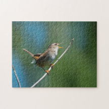 Singing Marsh Wren Jigszle puzzle