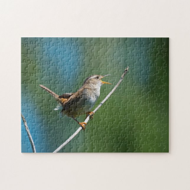 Singing Marsh Wren Jigszle puzzle Pussel (Horisontell)