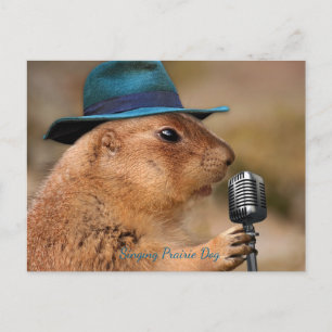 Singing Prairie Hund Vykort