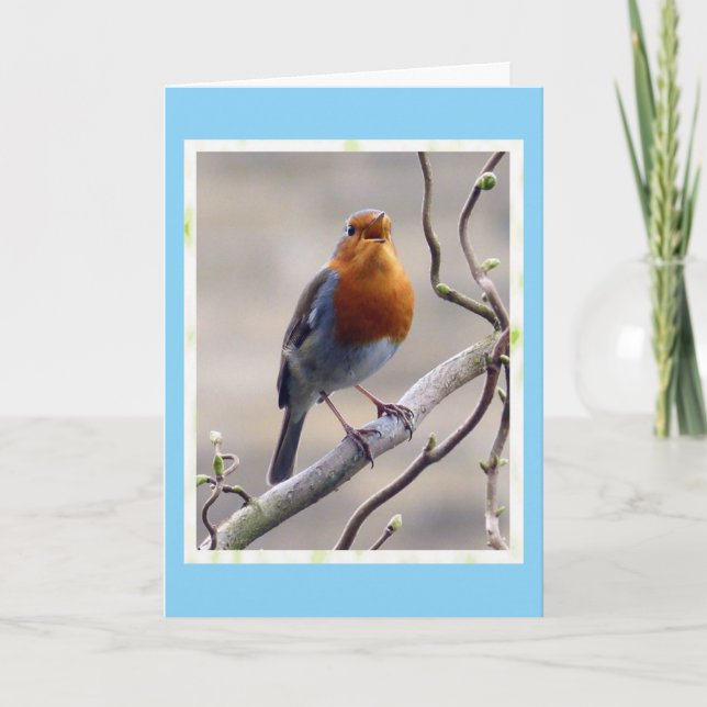 Singing Robin Birthday-kort Tack Kort (Framsida)